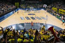 Alexandre BADOT - BADOT ALEXANDRE