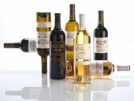 Frank BRUNET D'AUBIAC - FBAP SARL