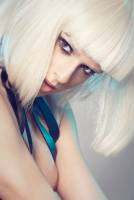 Yann MALOTTI - SARL YANN MALOTTI